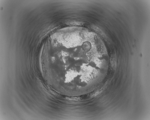 X0000086090359200704202222