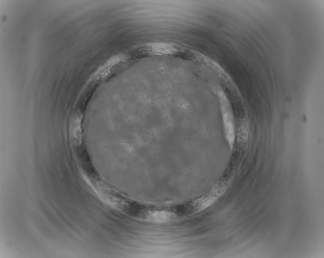 X0000086090360200704202222