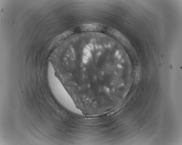 X0000086090361200704202222