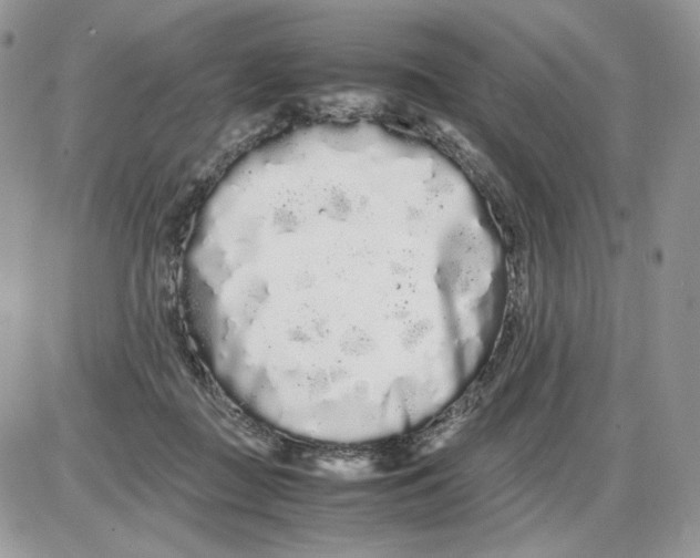 X0000086090363200704202222