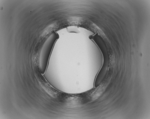 X0000086090364200704202222