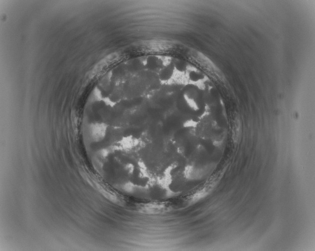 X0000086090366200704202222