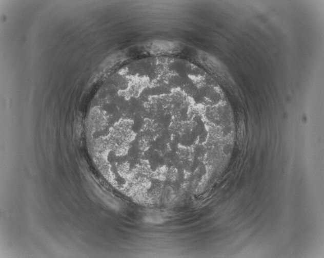 X0000086090367200704202222