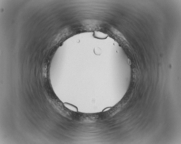 X0000086090368200704202222