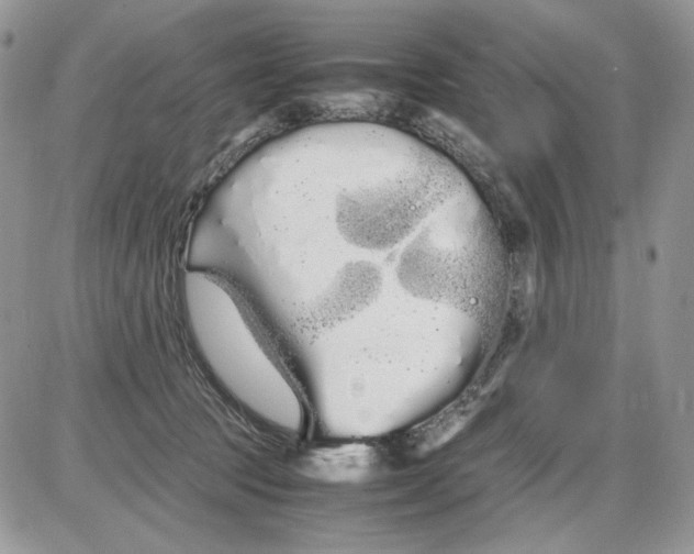 X0000086090369200704202222