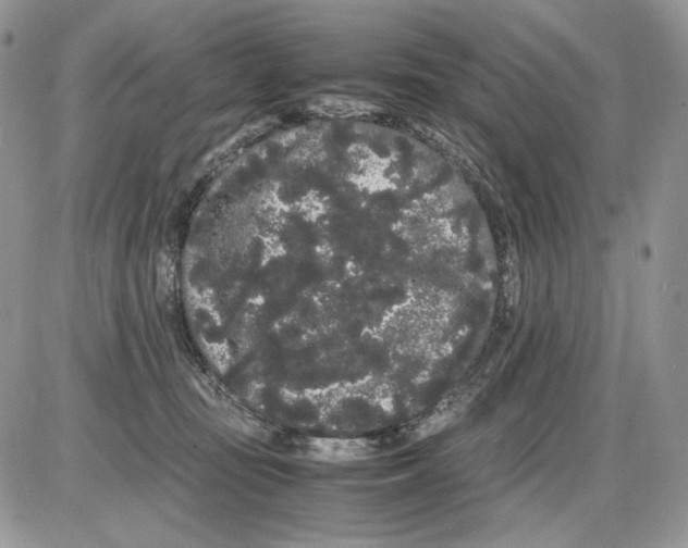 X0000086090371200704202222