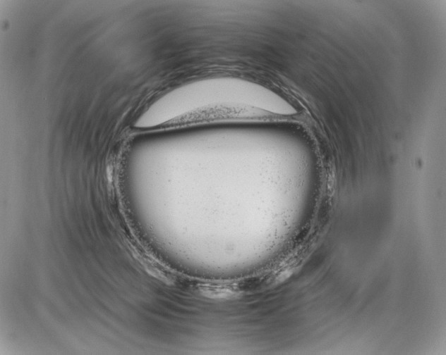 X0000086090373200704202222