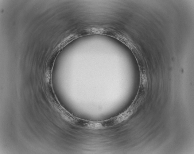 X0000086090374200704202222