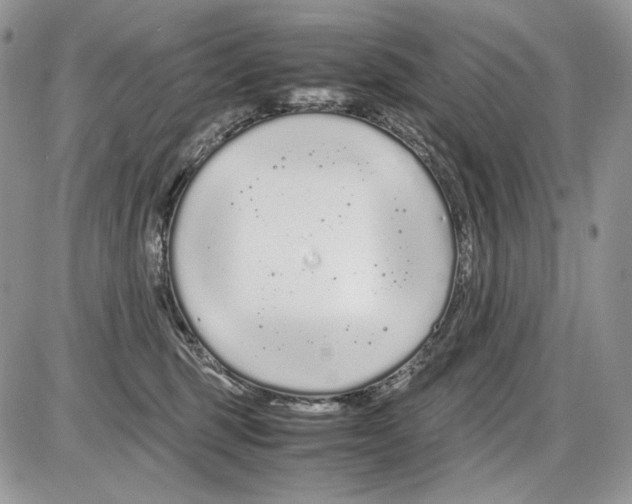 X0000086090375200704202222