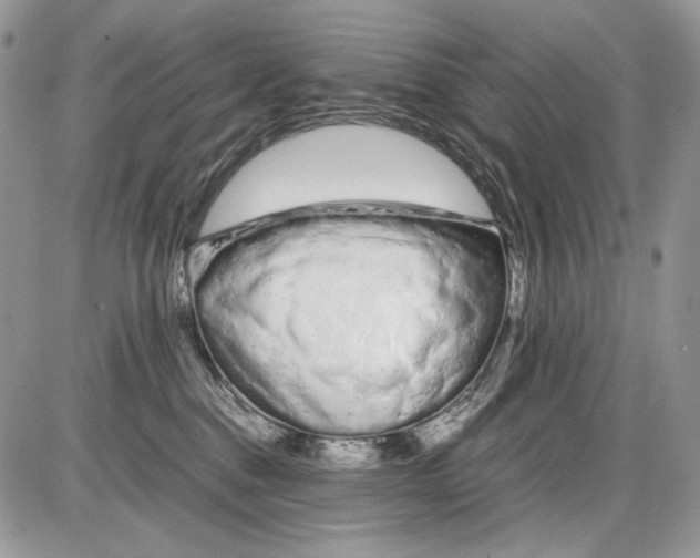 X0000086090376200704202222