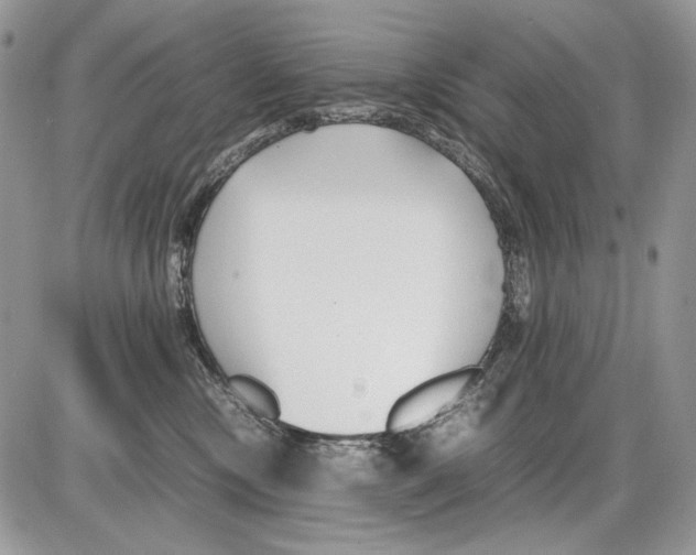 X0000086090378200704202222