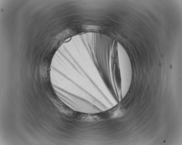 X0000086090379200704202222