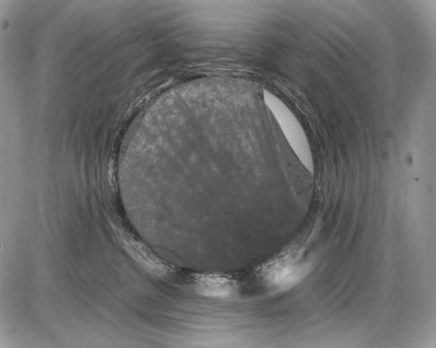 X0000086090380200704202222