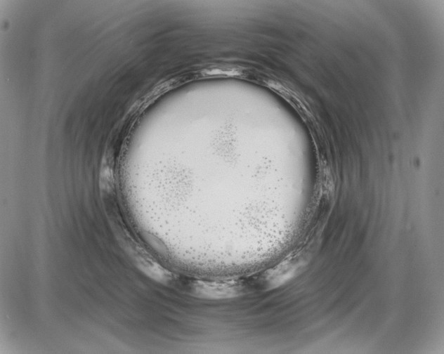 X0000086090381200704202222