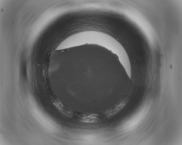 X0000086090382200704202222