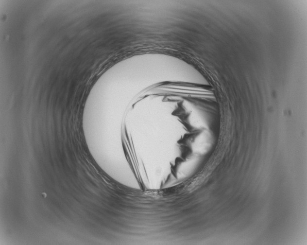 X0000086090384200704202222