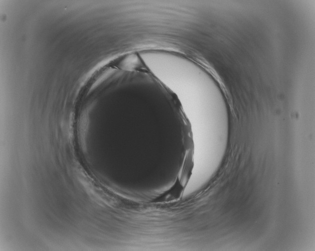 X0000086090387200704202221