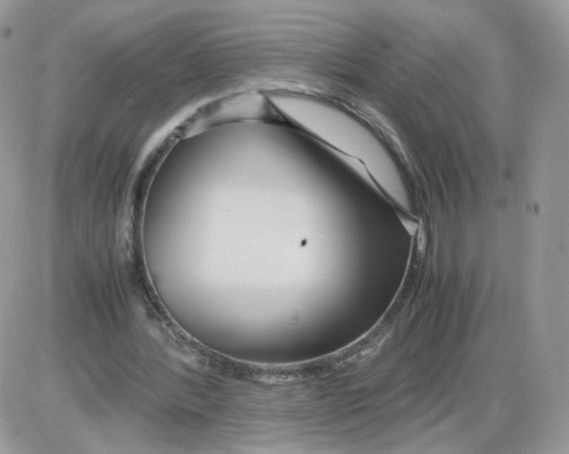 X0000086090388200704202221