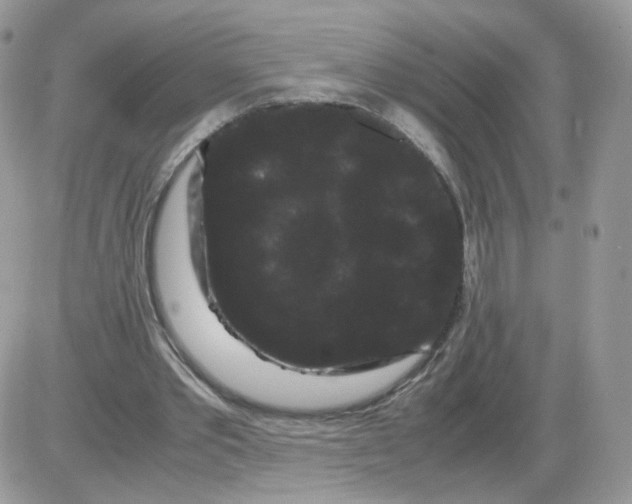 X0000086090389200704202221