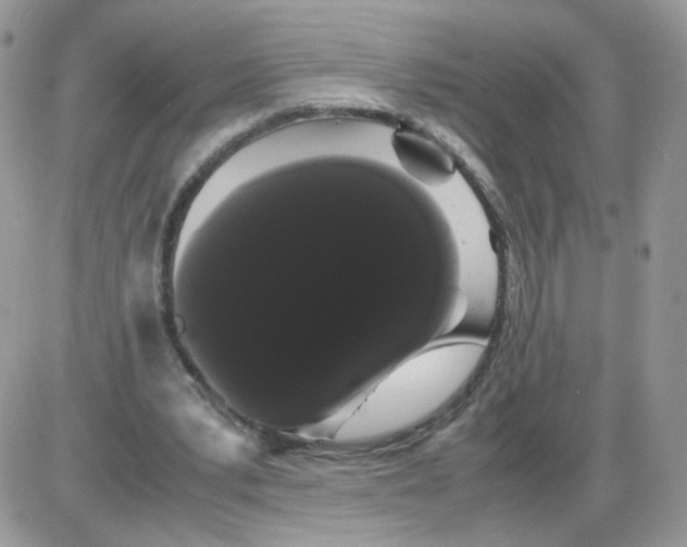 X0000086090391200704202221