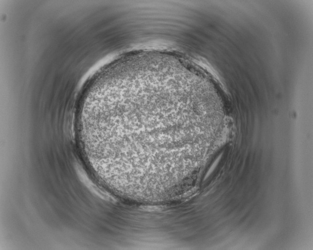 X0000086090392200704202221