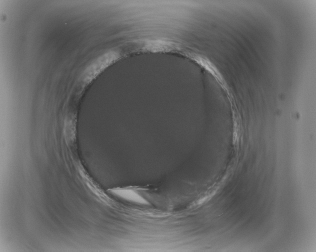 X0000086090393200704202221