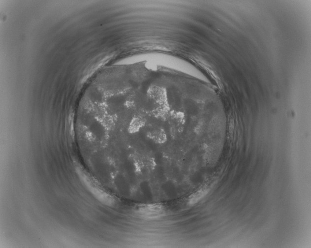 X0000086090398200704202221