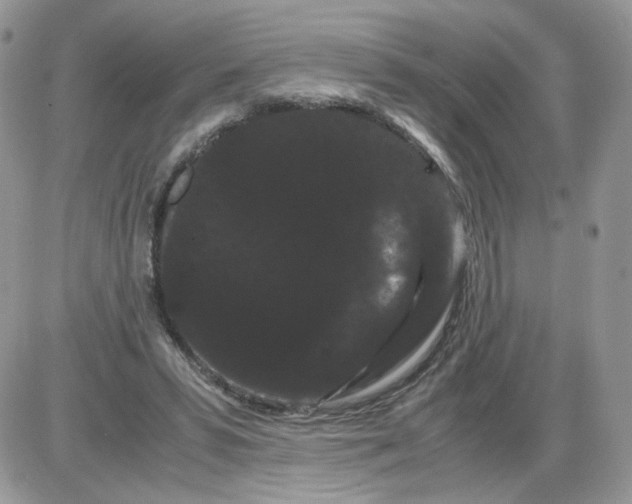 X0000086090399200704202221