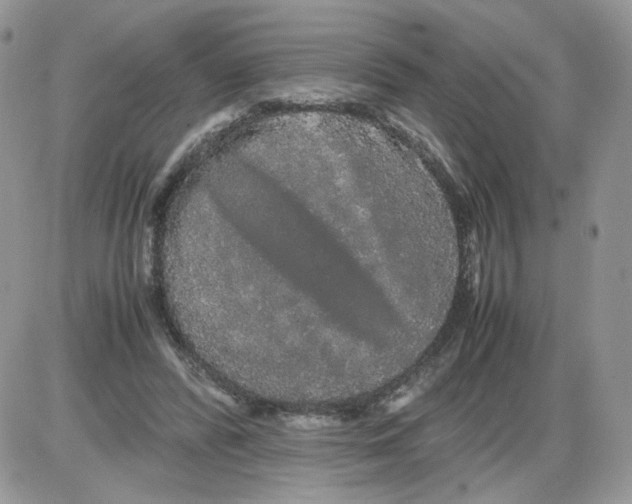 X0000086090400200704202221