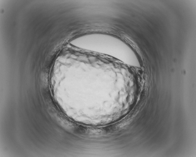 X0000086090401200704202221