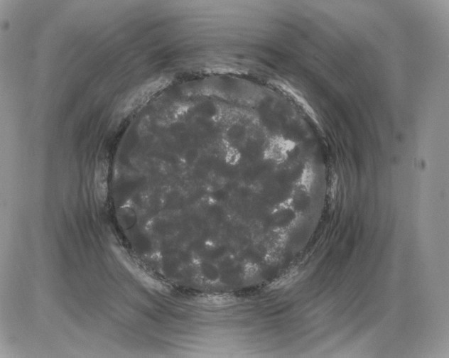 X0000086090402200704202221