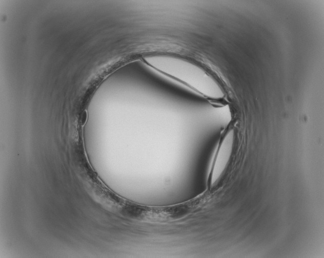 X0000086090403200704202221