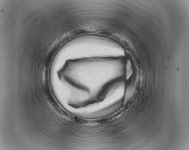 X0000086090404200704202221