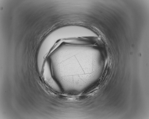 X0000086090405200704202221