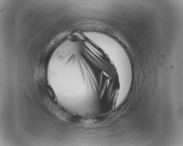 X0000086090407200704202221