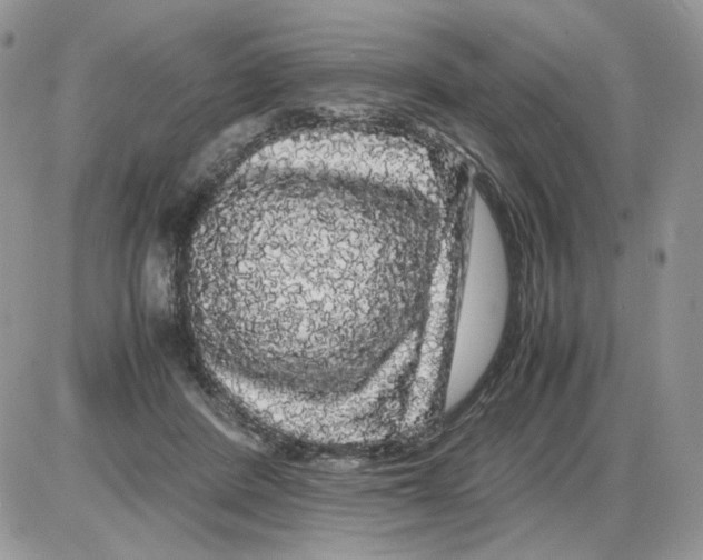 X0000086090408200704202221