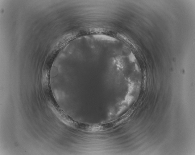 X0000086090410200704202221