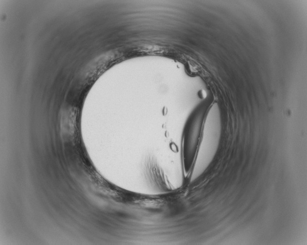 X0000086090412200704202221