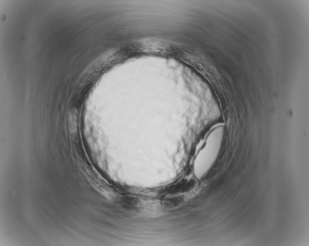 X0000086090413200704202221