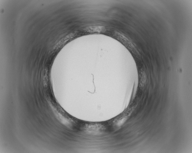 X0000086090414200704202221