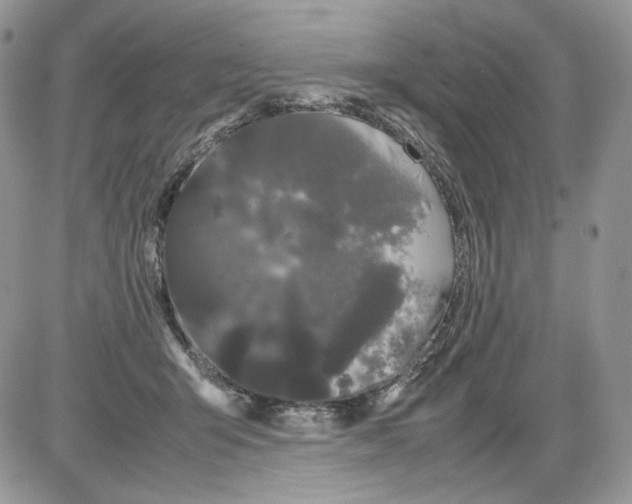 X0000086090415200704202221