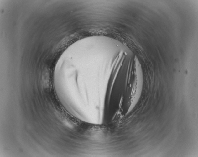 X0000086090416200704202221