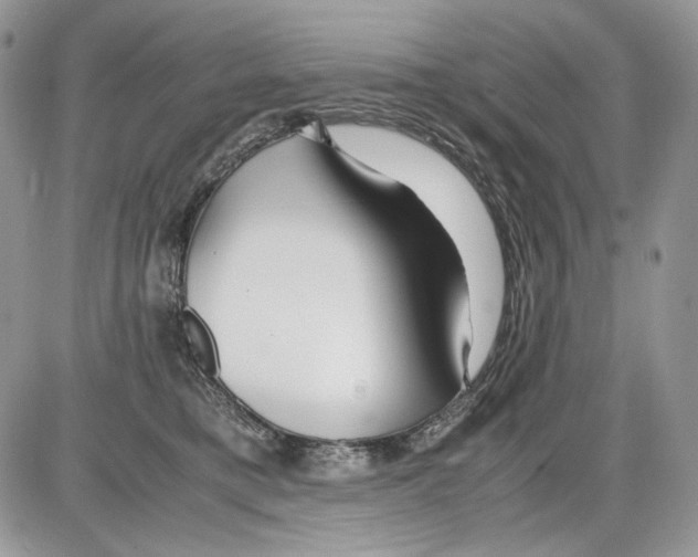 X0000086090421200704202221