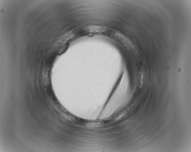 X0000086090422200704202221