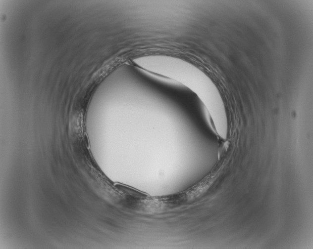 X0000086090425200704202221