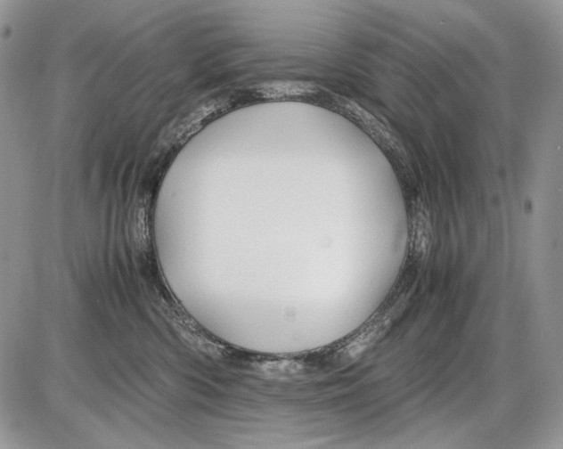 X0000086090426200704202221