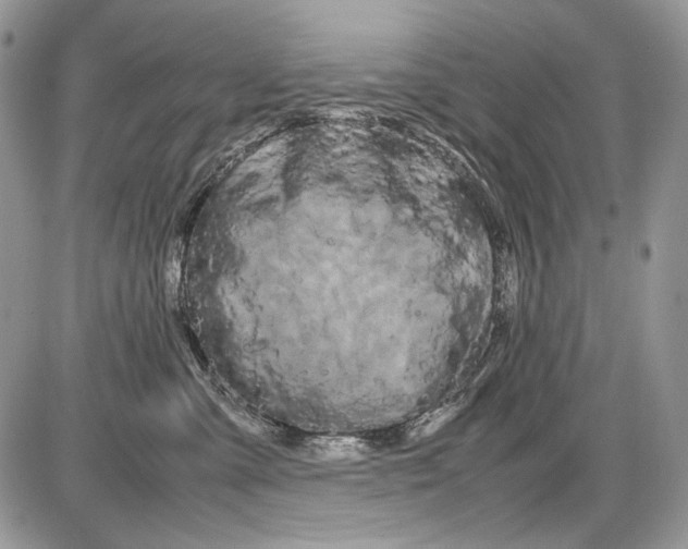 X0000086090427200704202221