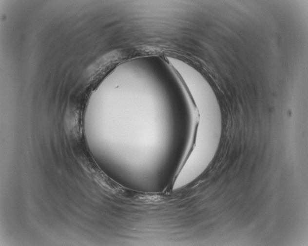 X0000086090428200704202221