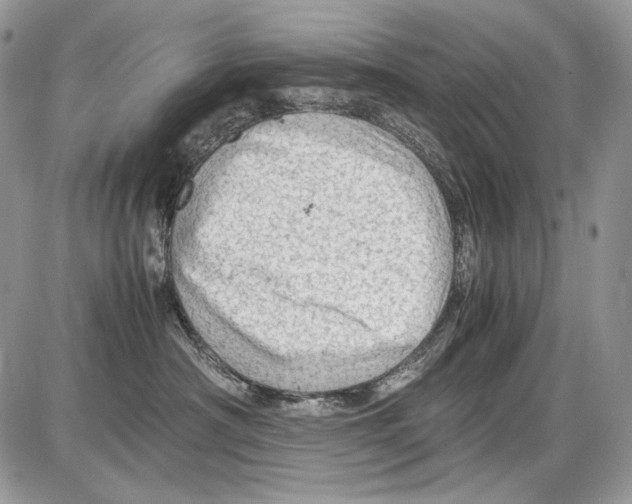 X0000086090430200704202221