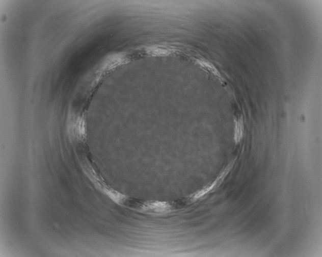 X0000086090431200704202221